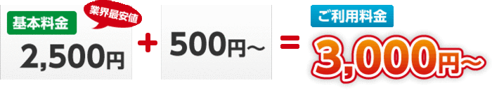 ご利用料金3,000円